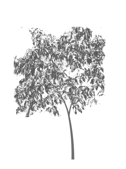 Screenshot 2025-09-12 at 1.50.46 PM.png