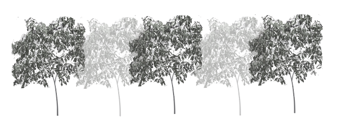 Screenshot 2025-09-15 at 11.01.50 AM.png