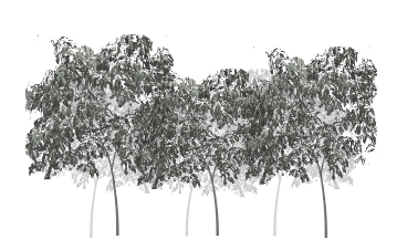 Screenshot 2025-09-15 at 11.24.23 AM.png